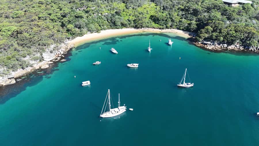 Sydney: Guided Kayak Tour of Manly Cove Beaches - Price and value: is $67 for 150 minutes a smart use of time?