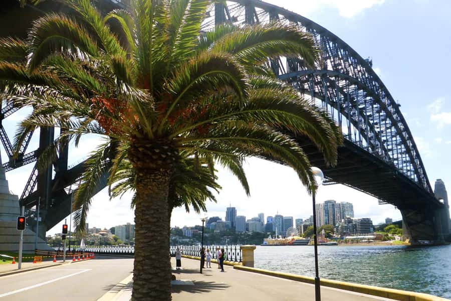 Sydney: Half-Day City Tour - Eastern suburbs and harbor bays: Woolloomooloo to Kings Cross