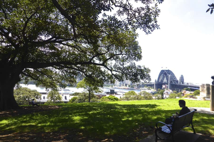 Sydney: Half-Day City Tour - Bondi and the coastal stops: seeing the beach culture without overstaying