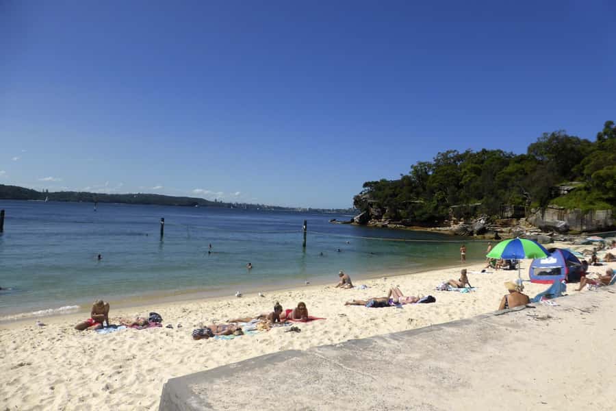 Sydney: Half-Day City Tour - The guides make or break it: Katja, Ben, Jelle, and more