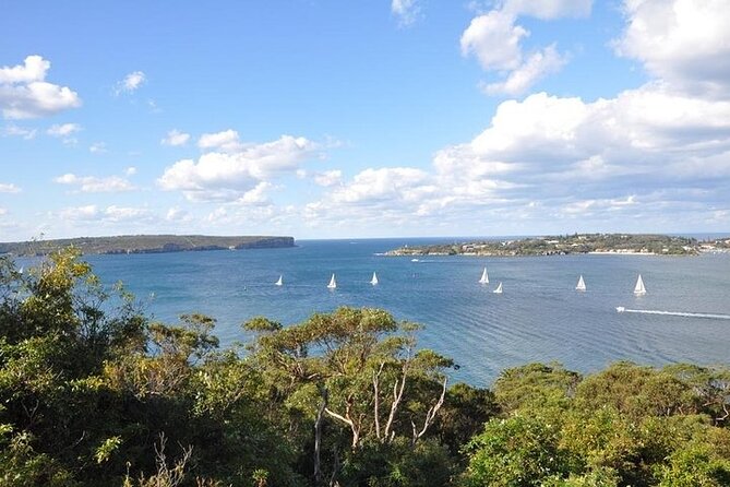 Sydney Half Day Private Tour - Bondi Beach stroll from South to North (and Icebergs area views)
