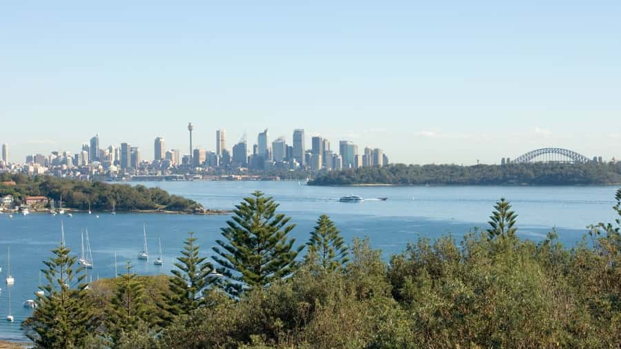 Sydney: Half-Day Private Tour of Sydney's Northern Beaches - Lunch at The Newport, a historic break with local community energy