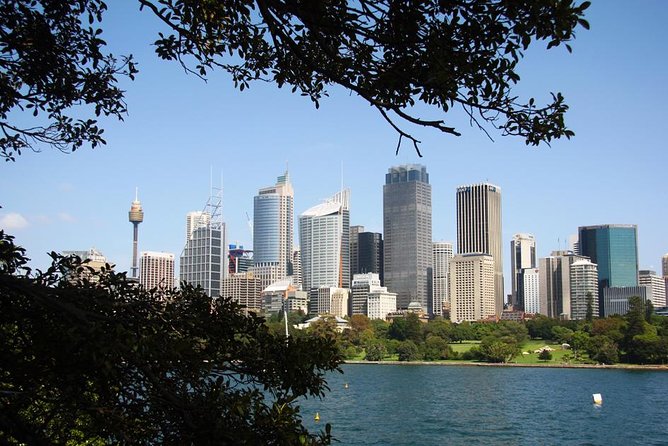 Sydney Half Day Private Tour: See Sydney Opera House and Bondi - Key highlights worth getting excited about