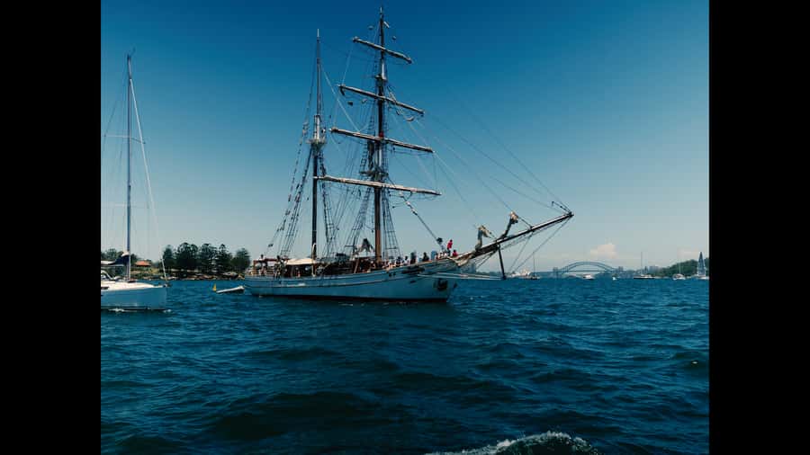 Sydney: Harbor Sunset Cruise with Dinner - Key things that make this harbor sunset cruise special