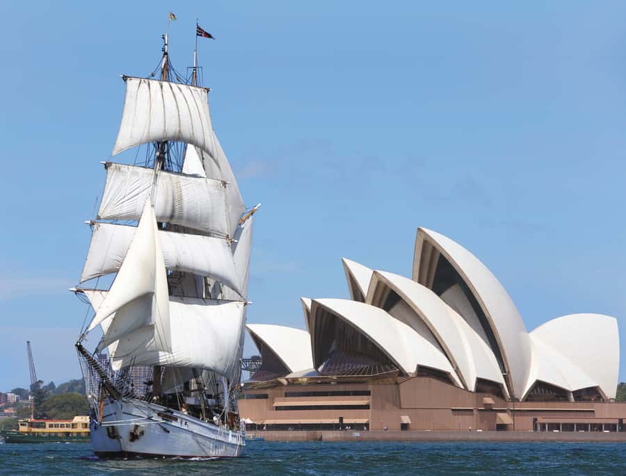 Sydney Harbor: Theatrical Pirates Cruise - Key highlights you will care about