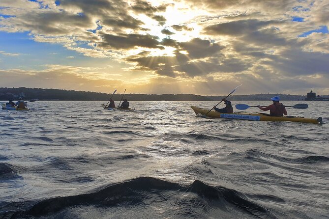 Sydney Harbour Bridge Kayak & Breakfast Tour - Paddling Under the Harbour Bridge at 7:00 am