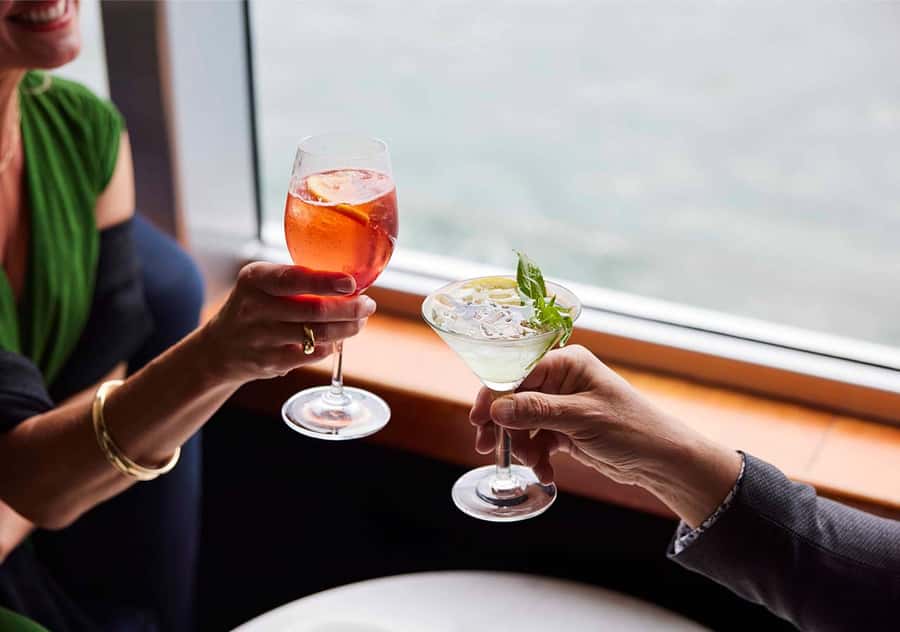 Sydney: Harbour Cruise with Charcuterie Board & Drinks - Dealing With Seasickness and Other Comfort Issues