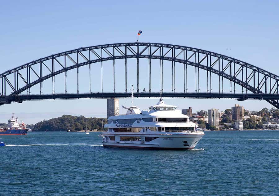Sydney: Harbour Lunch Cruise with 2 or 3-Course Menu - Who this cruise is best for, and who may want a different plan
