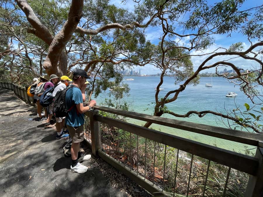 Sydney Harbour National Park 2-Hour Walking Tour - Key highlights you will feel on the walk