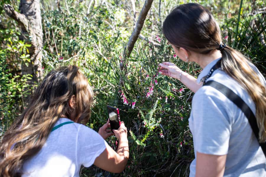 Sydney Harbour National Park 2-Hour Walking Tour - Who this tour suits, and who should skip it