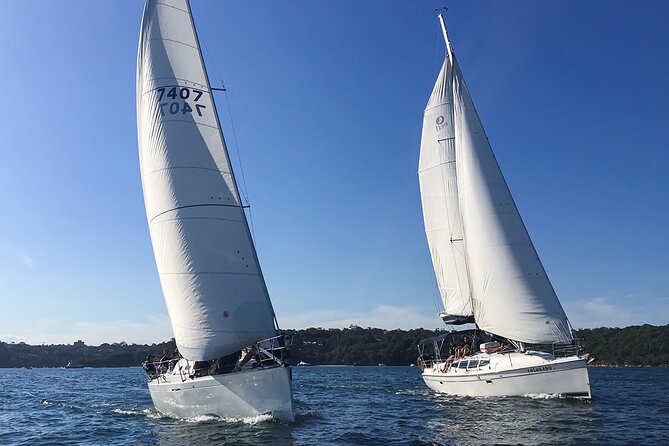 Sydney Harbour Sailing Experience - What you might do on board: raising sails, winches, and ropes