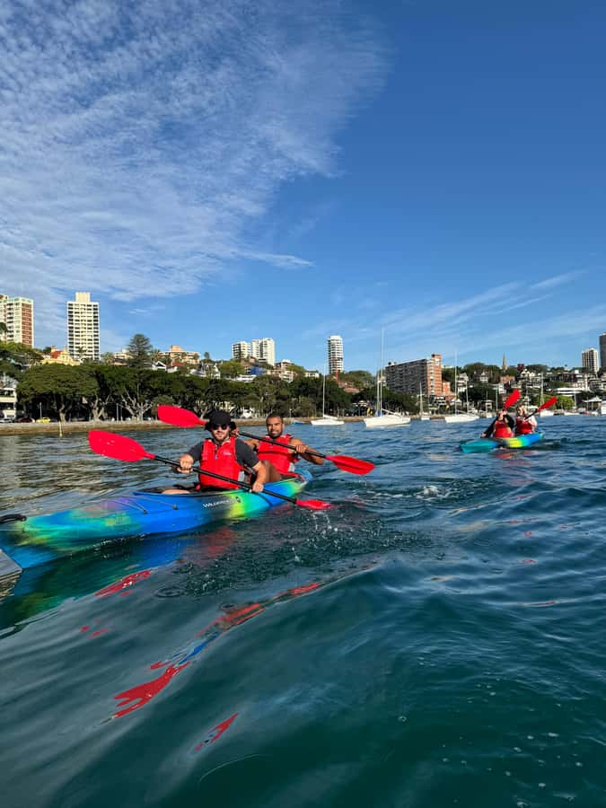 Sydney: Harbour Sunrise Kayak Tour - Why a 2-hour sunrise kayak beats a typical harbour cruise