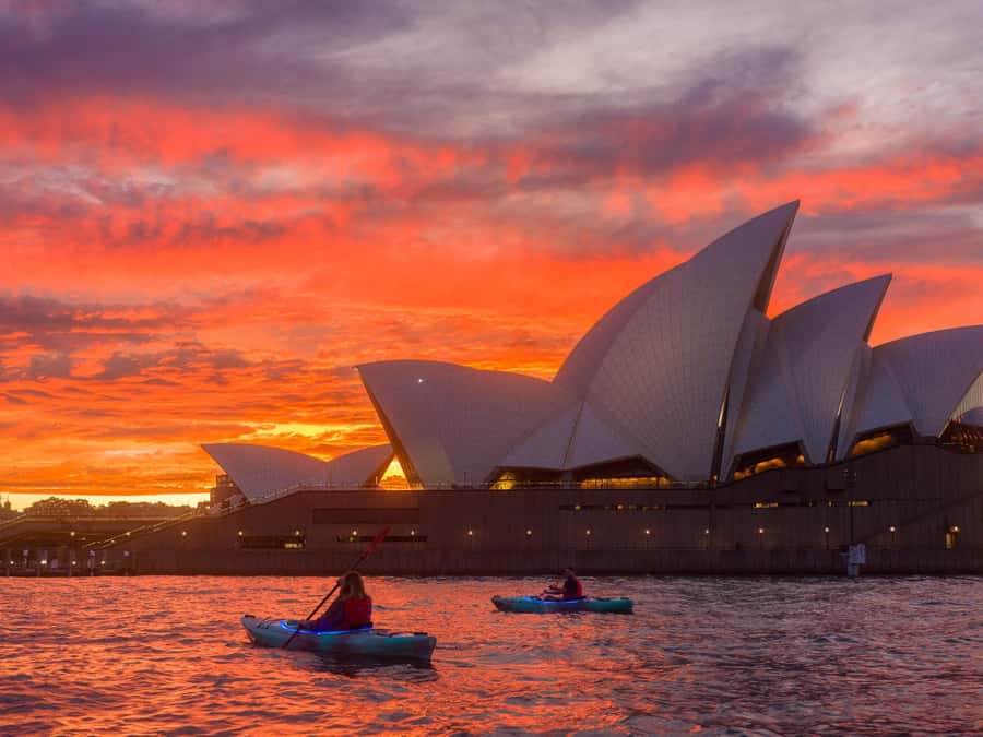 Sydney: Harbour Sunrise Kayak Tour - Harbour Bridge views: sunrise light plus a planned stop