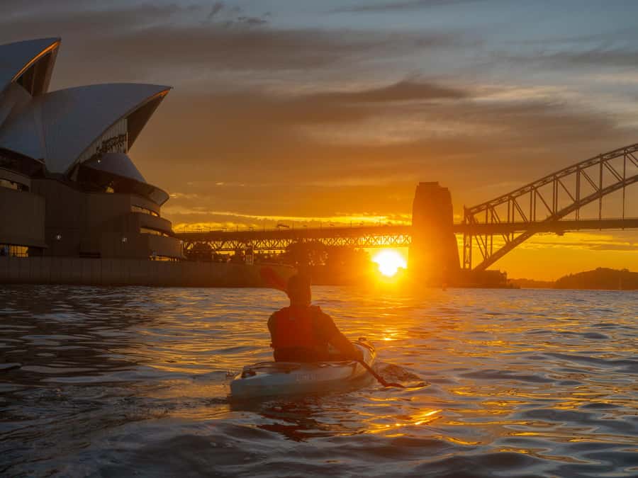 Sydney: Harbour Sunrise Kayak Tour - Price and value: what $119 really buys you