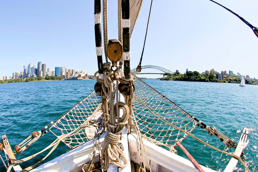 Sydney Harbour: Tall Ship Afternoon Cruise - The onboard vibe: family-friendly, calm, and photo-ready