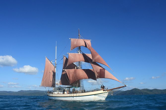 Sydney Harbour Tall Ship Whale & Sail - Whale Watching Cruise - The tall ship experience, and what you might actually do on deck