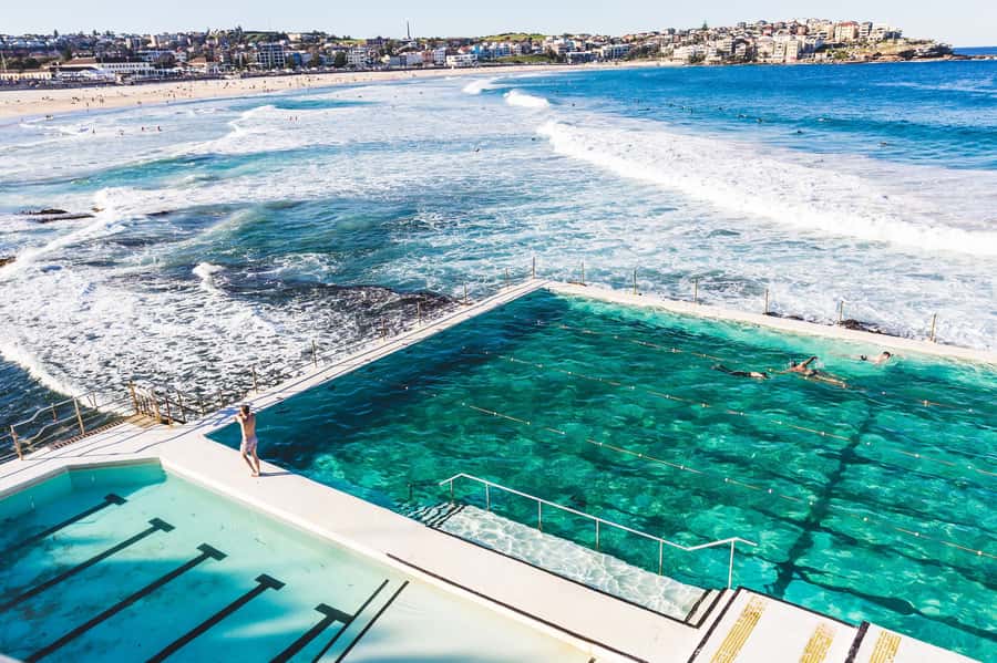 Sydney Harbour to Bondi: Small Group Half–Day Experience - Key points before you go