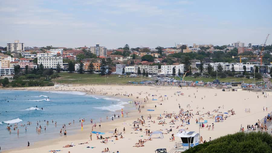 Sydney Harbour to Bondi: Small Group Half–Day Experience - Harbor icons from the road: Opera House and Harbor Bridge views