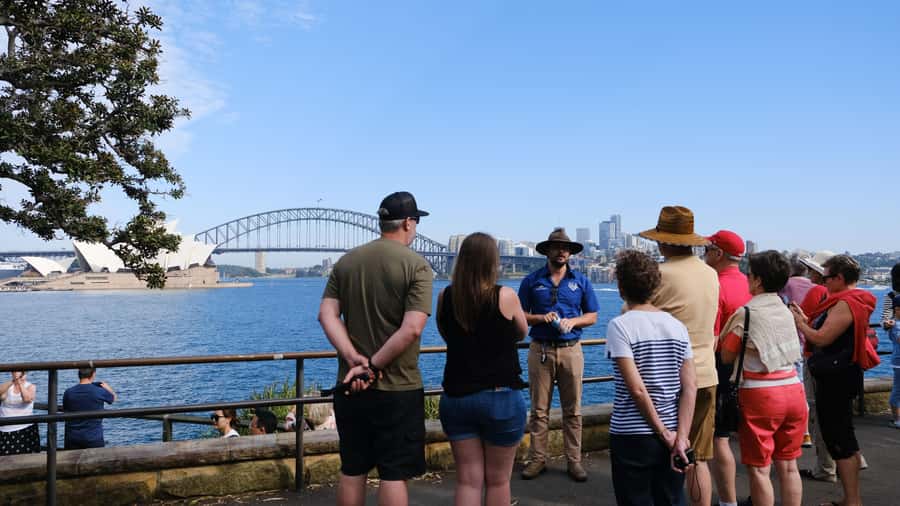 Sydney Harbour to Bondi: Small Group Half–Day Experience - Pacific time: Tamarama and Bronte coastal cliff walk viewpoints