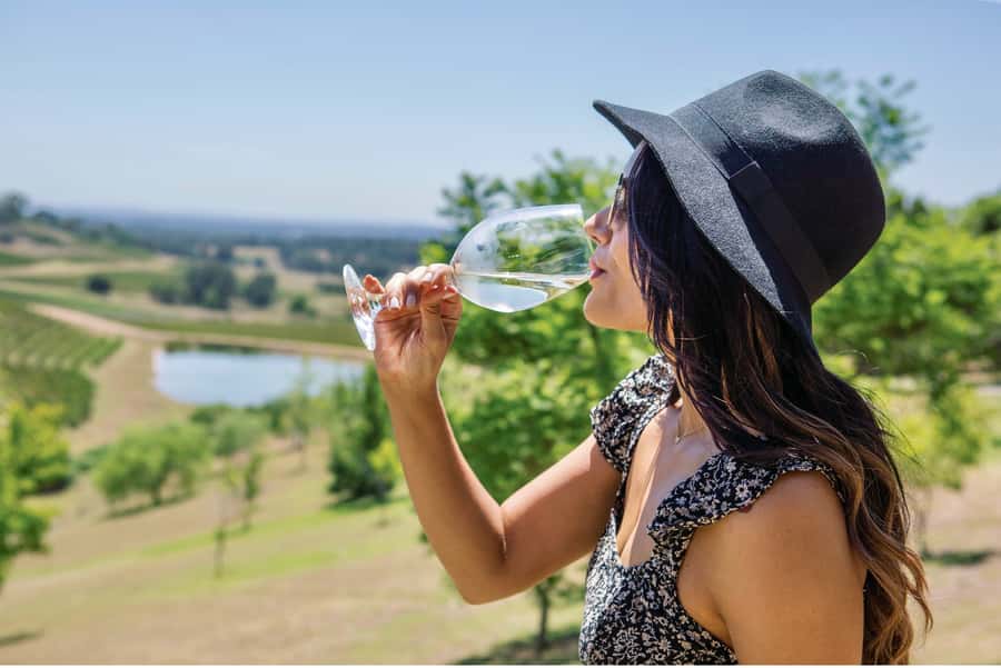 Sydney: Hunter Valley Wineries Day Trip with Food Tastings - Why this Hunter Valley day trip works from the first minute