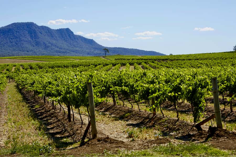 Sydney: Hunter Valley Wineries Day Trip with Food Tastings - Hunter Valley Village: your reset before the tastings
