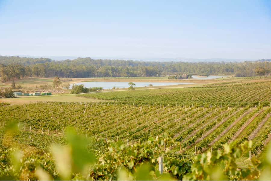 Sydney: Hunter Valley Wineries Day Trip with Food Tastings - Price and what it actually covers