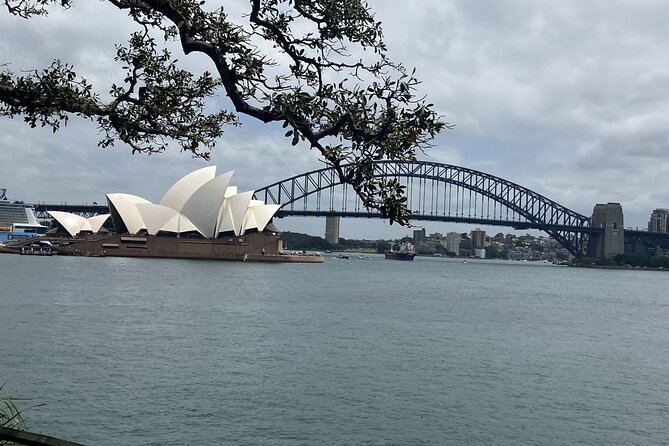 Sydney Icons & Bondi Half Day Private Tour - Queen Victoria Building, St Mary’s Cathedral, and Macquarie Street Views