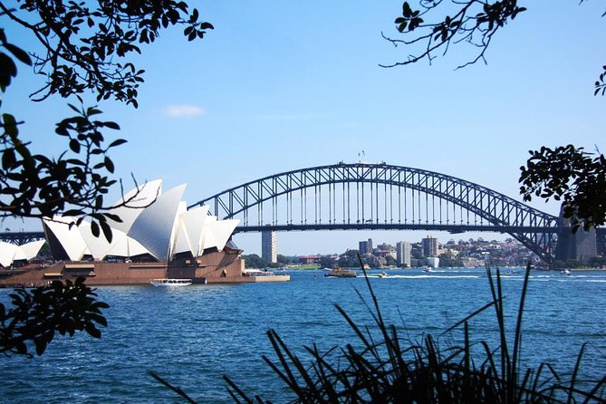 Sydney Icons & Bondi Half Day Private Tour - Watsons Bay and The Gap: Ocean Air and Big Sandstone Vistas