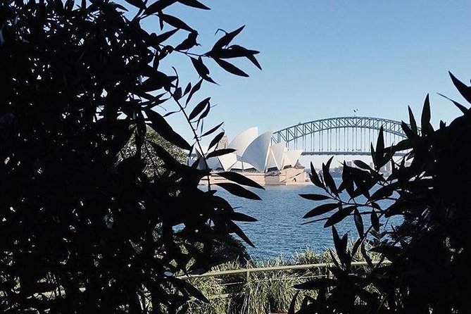 Sydney Icons & Bondi Half Day Private Tour - The Rocks Convict Streets First: Where Sydney Began