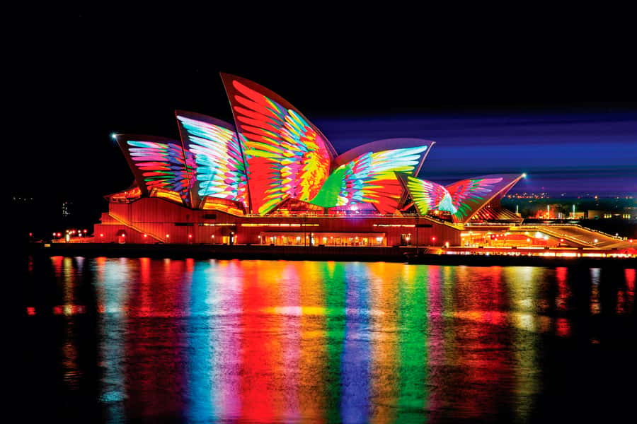 Sydney: Intimate Vivid Harbour Cruise with Canapes - Why this 90-minute Vivid cruise feels like good value