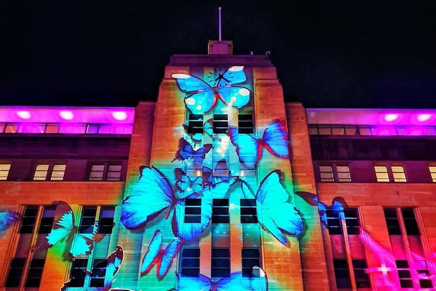 Sydney: Intimate Vivid Harbour Cruise with Canapes - Weather and comfort: why this tour holds up at night