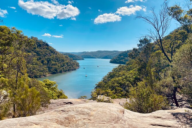 Sydney: Ku-ring-gai Chase National Park with Hike, Swim, Picnic - Key moments that make this day work