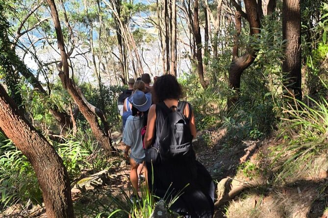 Sydney: Ku-ring-gai Chase National Park with Hike, Swim, Picnic - Ku-ring-gai Chase trails and viewpoints: where the sandstone does the talking