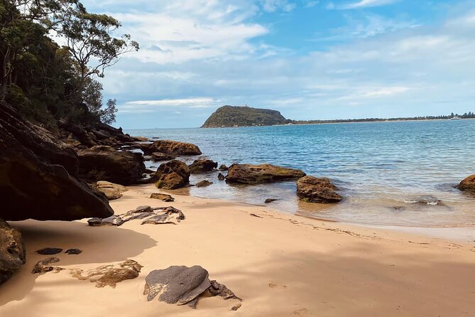 Sydney: Ku-ring-gai Chase National Park with Hike, Swim, Picnic - The small-group advantage: how the day stays relaxed in 8 hours