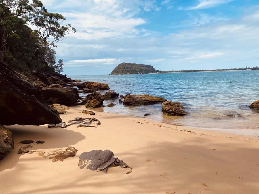 Sydney: Ku-ring-gai National Park with Hike, Beach & Picnic - Why Ku-ring-gai Chase Feels Like Sydney’s Outside-Your-Bubbles Day Trip