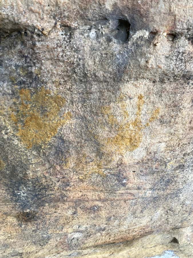 Sydney: Ku-ring-gai National Park with Hike, Beach & Picnic - Lookouts Over Pittwater and the Hawkesbury (Plus Wildlife Time)