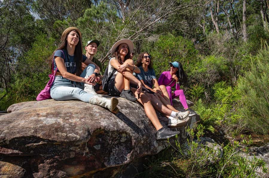 Sydney: Ku-ring-gai National Park with Hike, Beach & Picnic - Picnic Plan: Local Food, Shared Outdoors, and Two Possible Settings