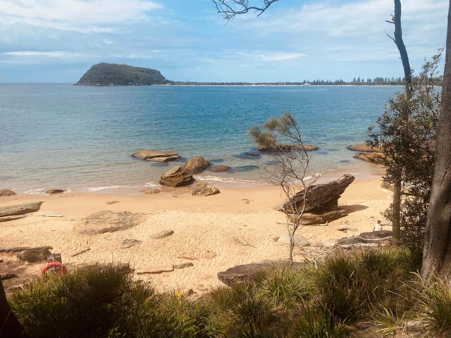 Sydney: Ku-ring-gai National Park with Hike, Beach & Picnic - Optional Swim at Hidden Beaches With Palm Beach Views