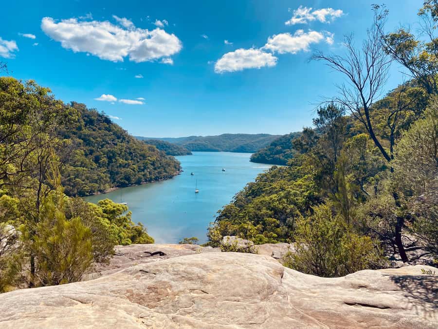 Sydney: Ku-ring-gai National Park with Hike, Beach & Picnic - Small-Group Pickup in a Comfortable Car (No Bus Herding)