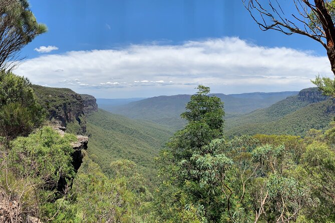 Sydney: Luxury Blue Mountains Adventure as a Small Group Day Tour - Cliff Drive and Cahill’s Lookout: the scenic route back to Sydney