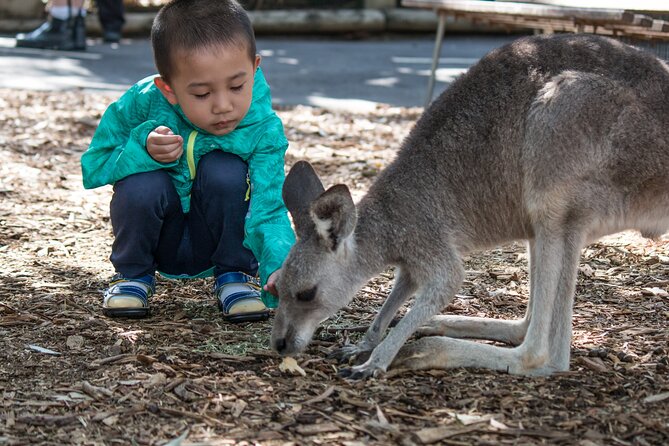 Sydney: Luxury Blue Mountains Adventure as a Small Group Day Tour - Price and value: what you pay for, and what you do not