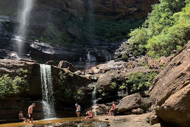 Sydney: Luxury Blue Mountains Adventure as a Small Group Day Tour - Featherdale Sydney Wildlife Park: a smart start before crowds