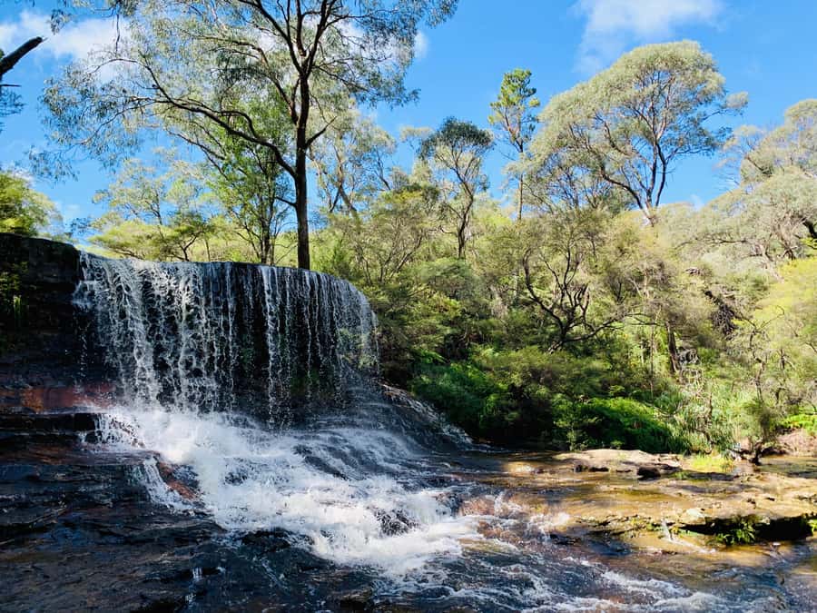 Sydney: Luxury Blue Mountains Adventure with Wentworth Falls - The comfortable small-group setup, and why the timing matters