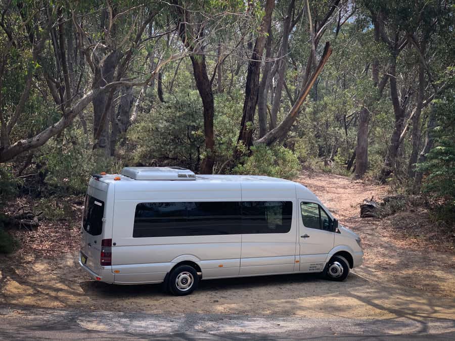 Sydney: Luxury Blue Mountains Adventure with Wentworth Falls - Price and value: what you’re really paying for at about $194 per person
