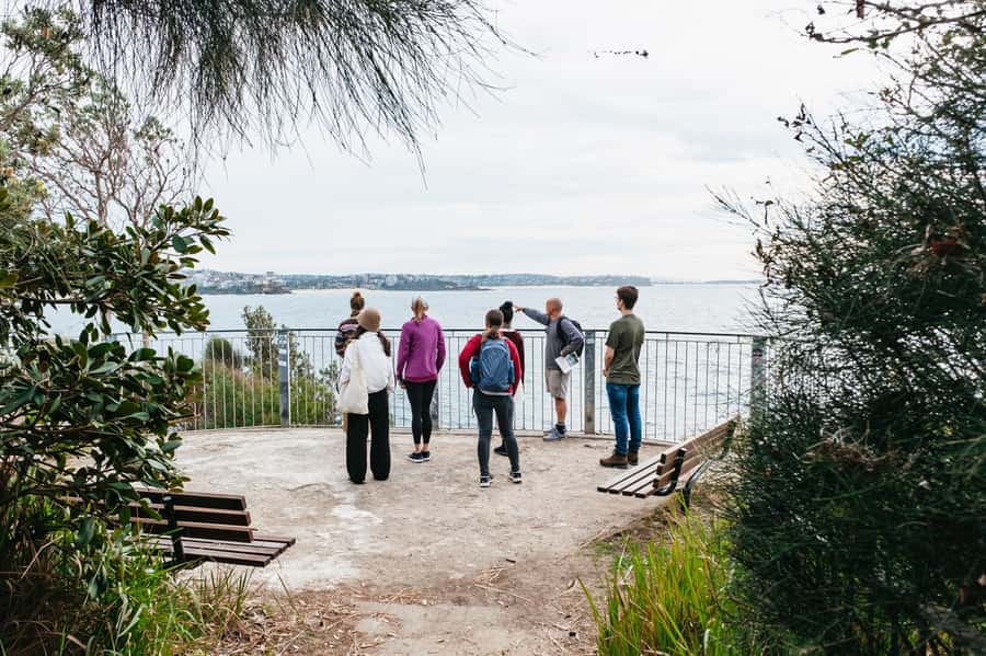 Sydney: Manly and Shelly Beach Snorkeling Tour - Key reasons this tour works so well