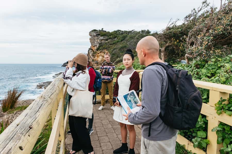 Sydney: Manly and Shelly Beach Snorkeling Tour - Quick planning checklist so your half-day runs smoothly