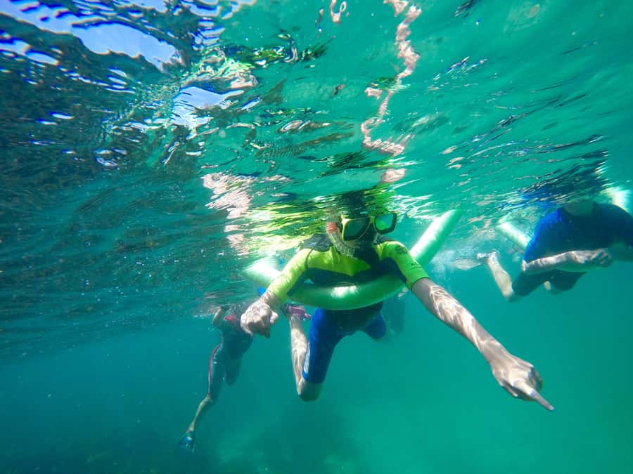 Sydney: Manly and Shelly Beach Snorkeling Tour - The 45-minute Shelly Beach warm-up: safety, wildlife viewing, then in the water
