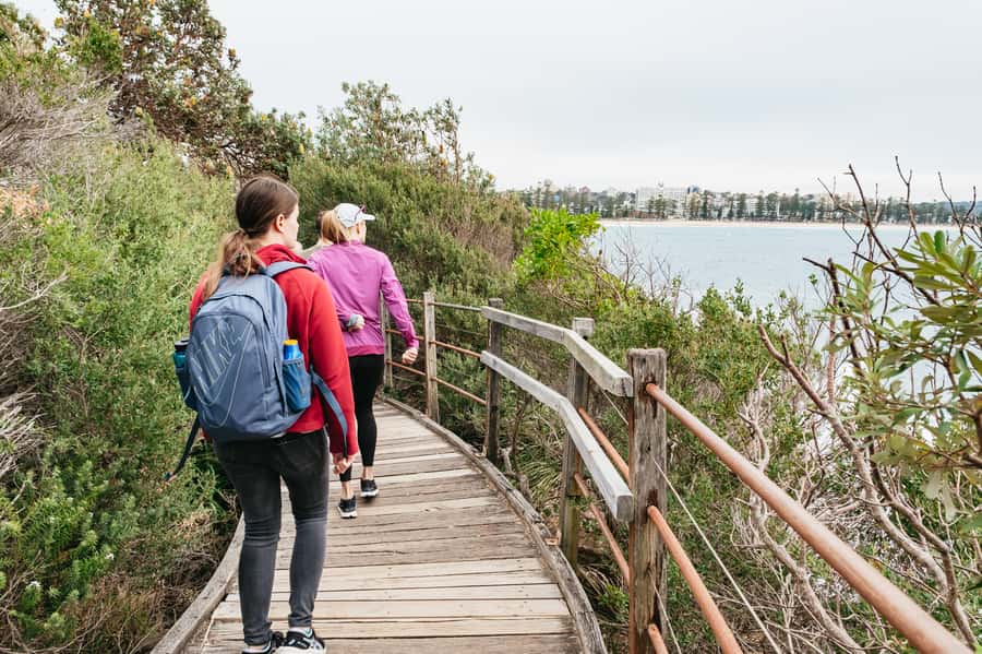 Sydney: Manly and Shelly Beach Snorkeling Tour - Cabbage Tree Bay Aquatic Reserve snorkeling: what you are actually looking for