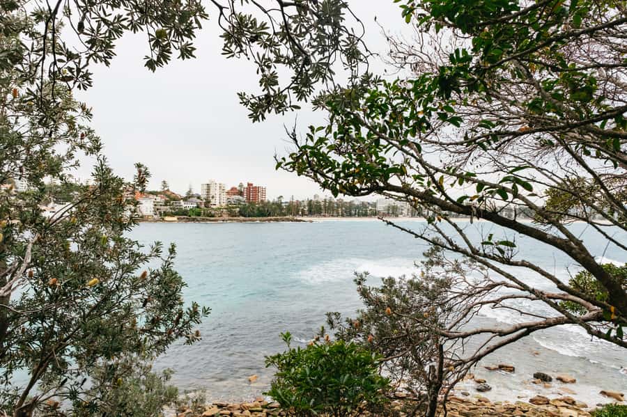 Sydney: Manly and Shelly Beach Snorkeling Tour - The 75-minute snorkel stretch: gear support and how guides handle different swim levels