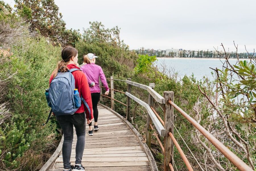 Sydney: Manly and Shelly Beach Snorkeling Tour - Who should book this Manly snorkeling tour, and who should skip it